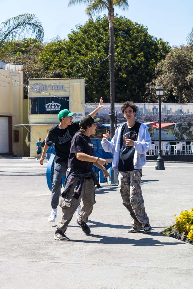 Ir a la Siguiente Foto