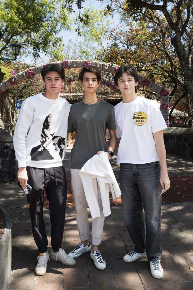 Ir a la Siguiente Foto