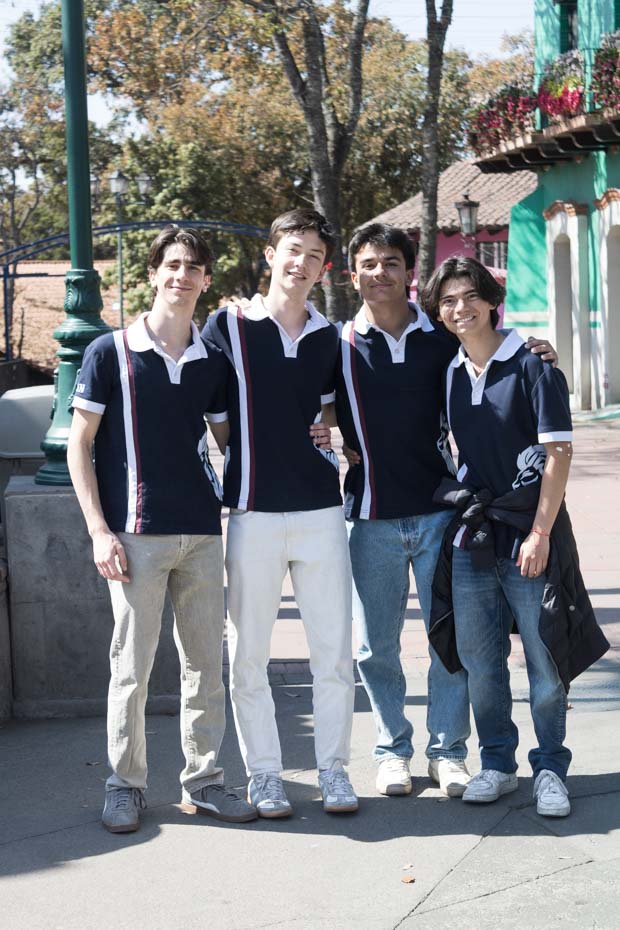 Ir a la Siguiente Foto