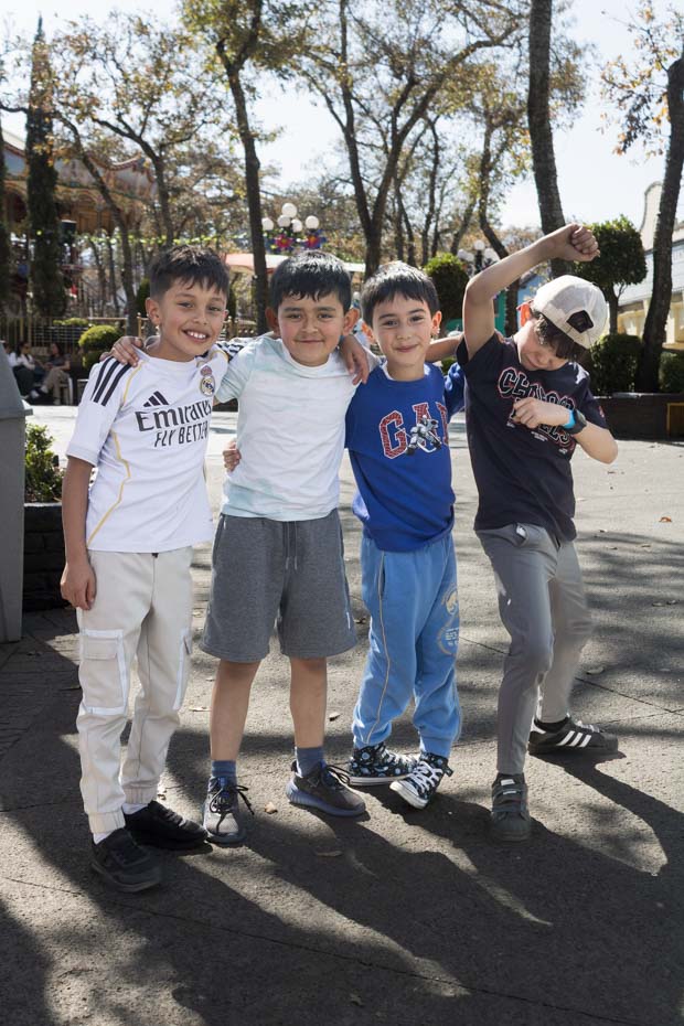 Ir a la Siguiente Foto