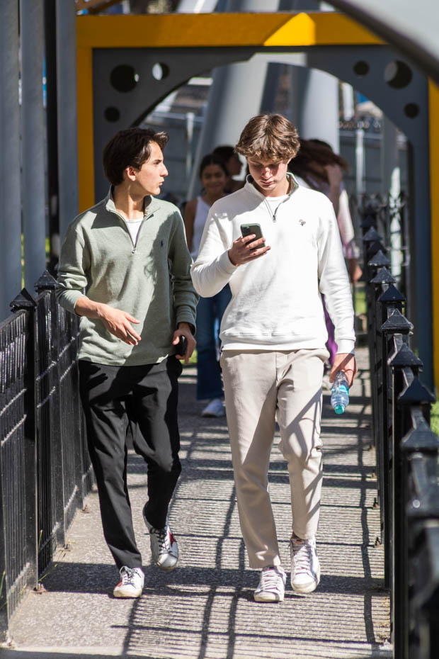 Ir a la Siguiente Foto