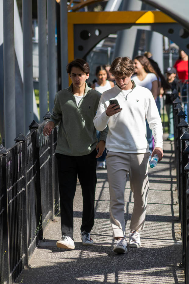 Ir a la Siguiente Foto