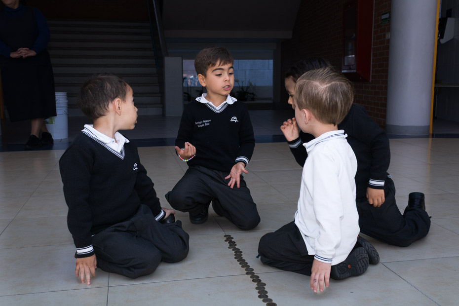 Ir a la Siguiente Foto