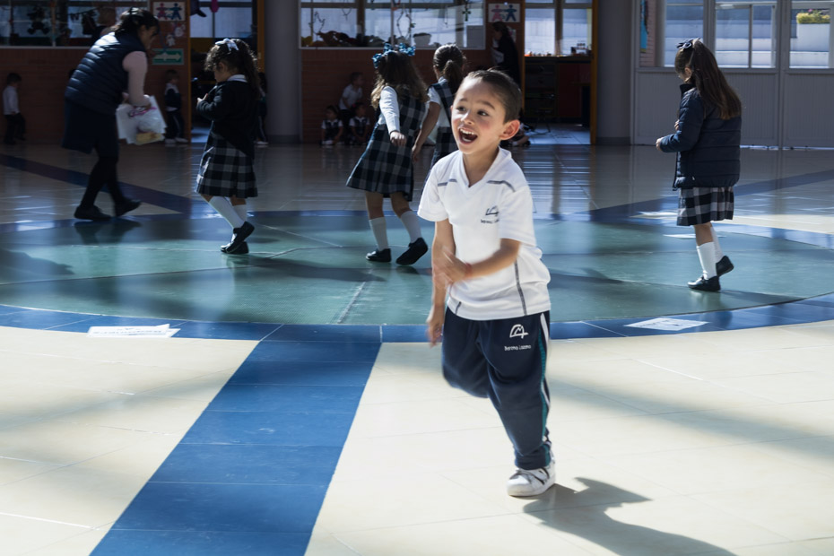 Ir a la Siguiente Foto