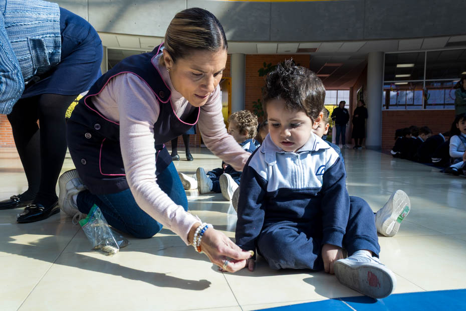 Ir a la Siguiente Foto