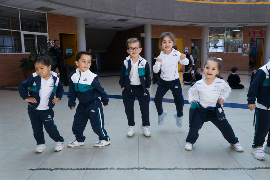 Ir a la Siguiente Foto