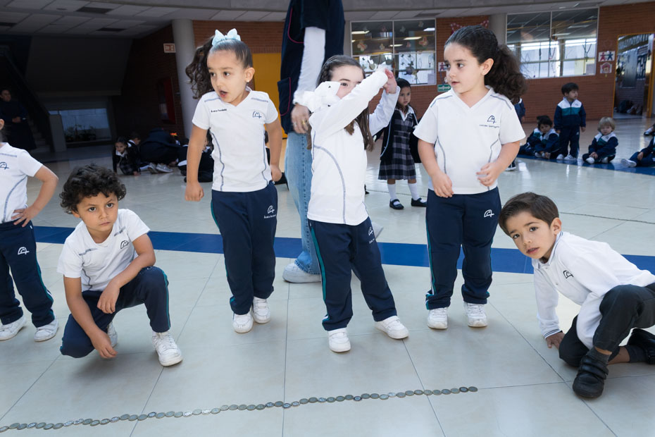 Ir a la Siguiente Foto