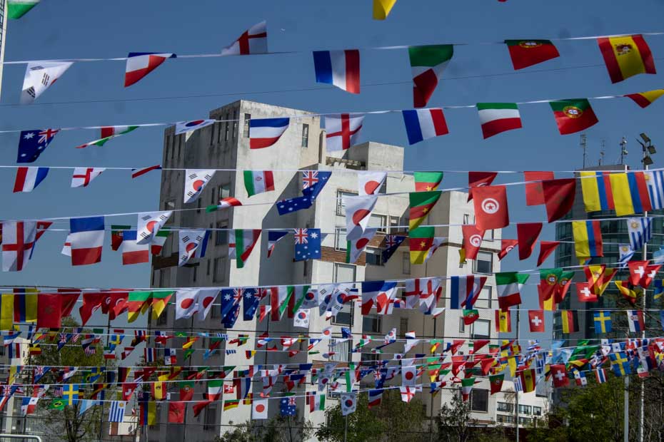 Ir a la Siguiente Foto