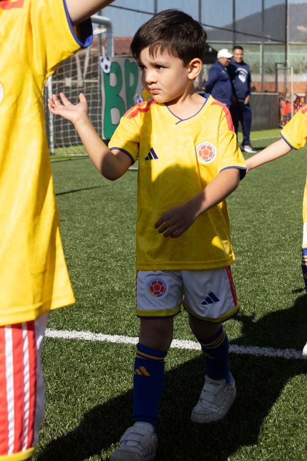 Ir a la Siguiente Foto