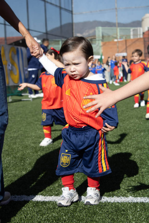 Ir a la Siguiente Foto