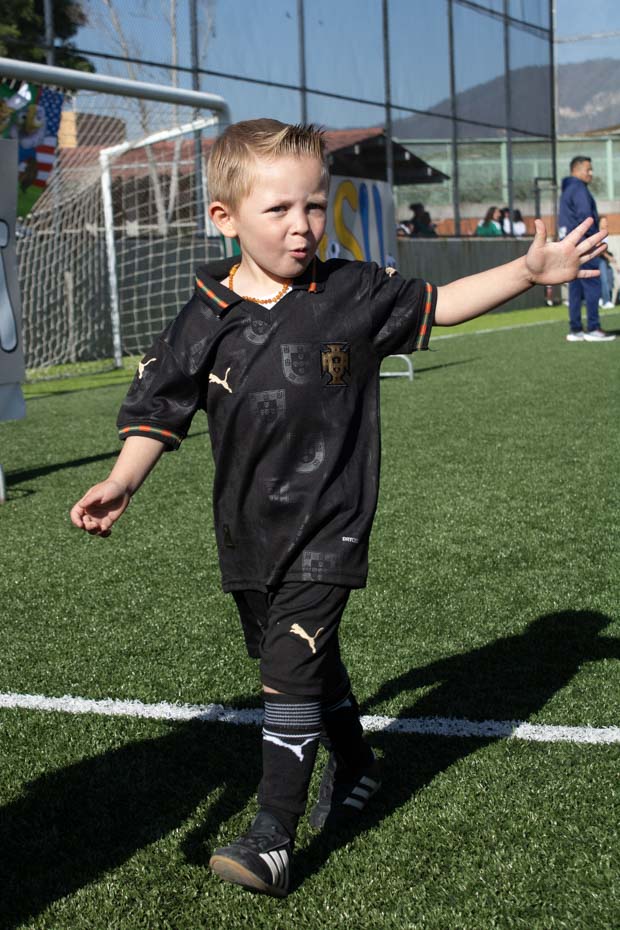 Ir a la Siguiente Foto