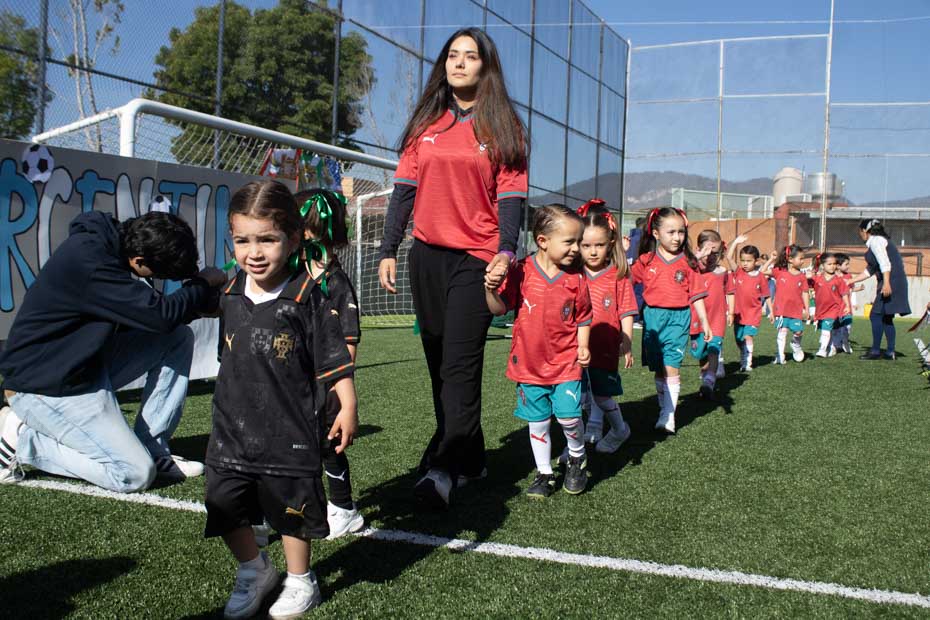 Ir a la Siguiente Foto