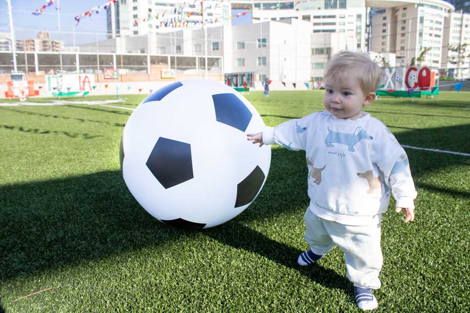 Ir a la Siguiente Foto