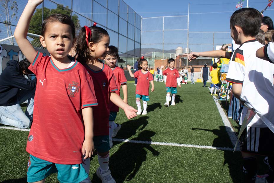 Ir a la Siguiente Foto