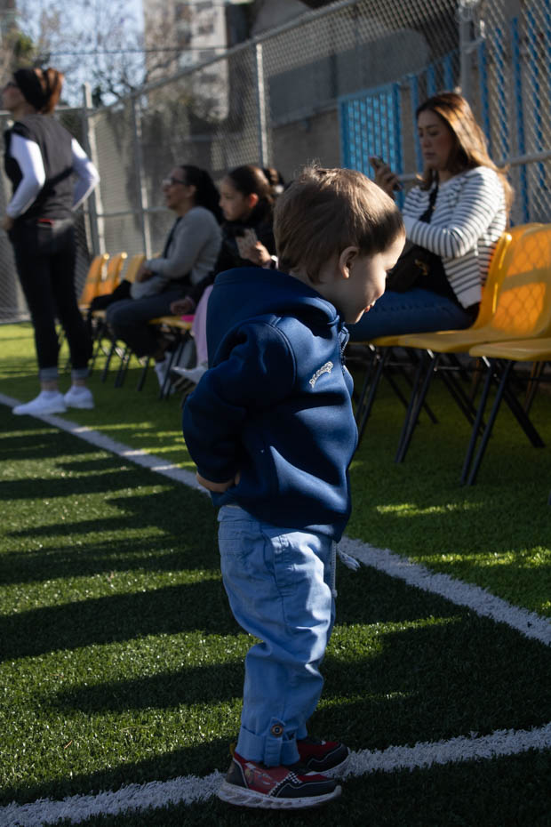 Ir a la Siguiente Foto