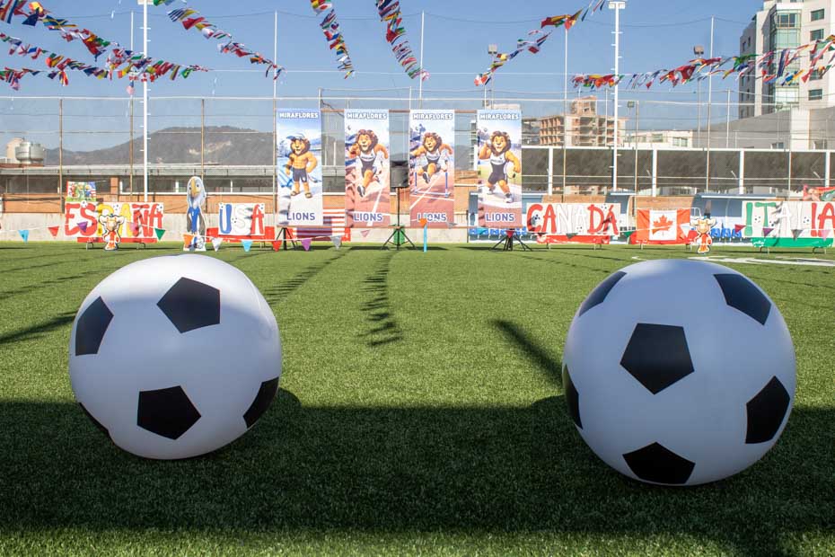 Ir a la Siguiente Foto