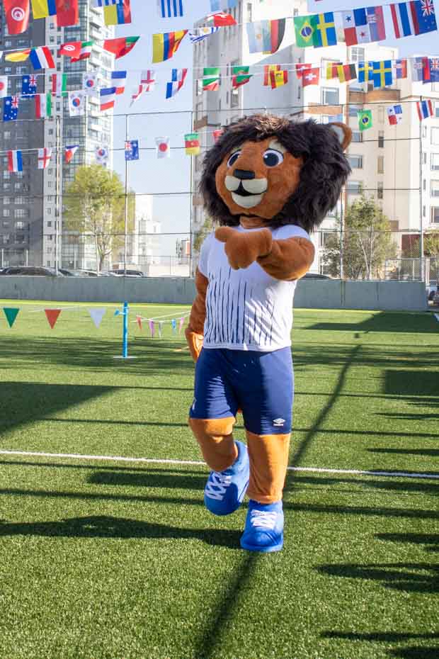 Ir a la Siguiente Foto