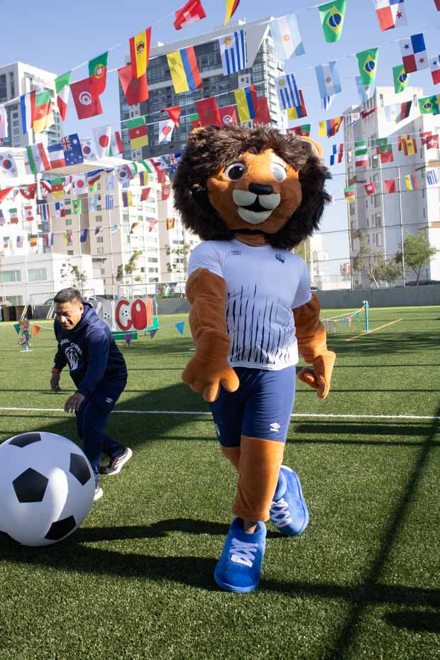 Ir a la Siguiente Foto