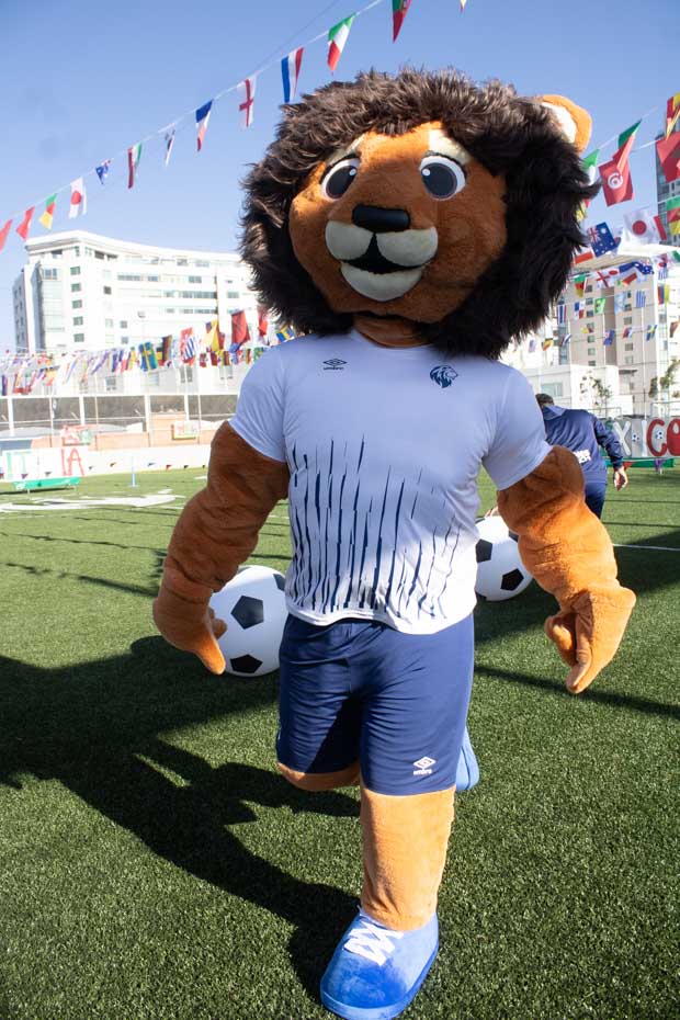 Ir a la Siguiente Foto