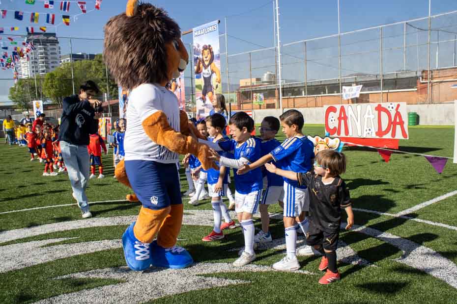 Ir a la Siguiente Foto