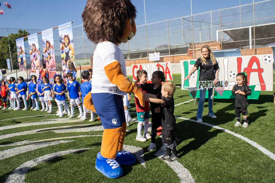 Ir a la Siguiente Foto