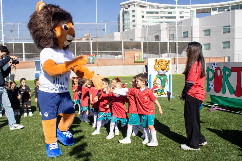 Ir a la Siguiente Foto