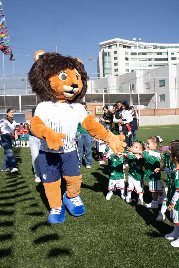 Ir a la Siguiente Foto