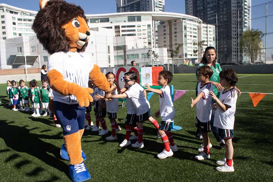 Ir a la Siguiente Foto