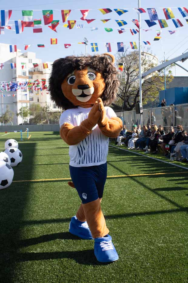 Ir a la Siguiente Foto