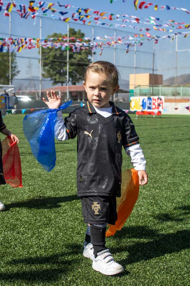 Ir a la Siguiente Foto