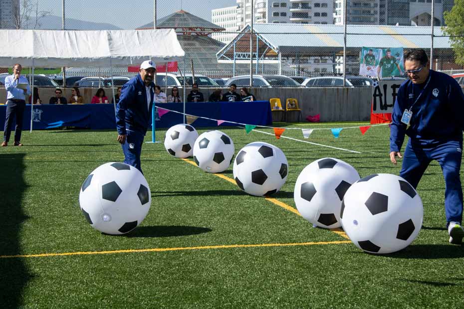 Ir a la Siguiente Foto