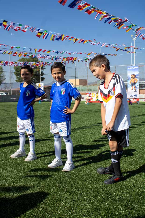 Ir a la Siguiente Foto