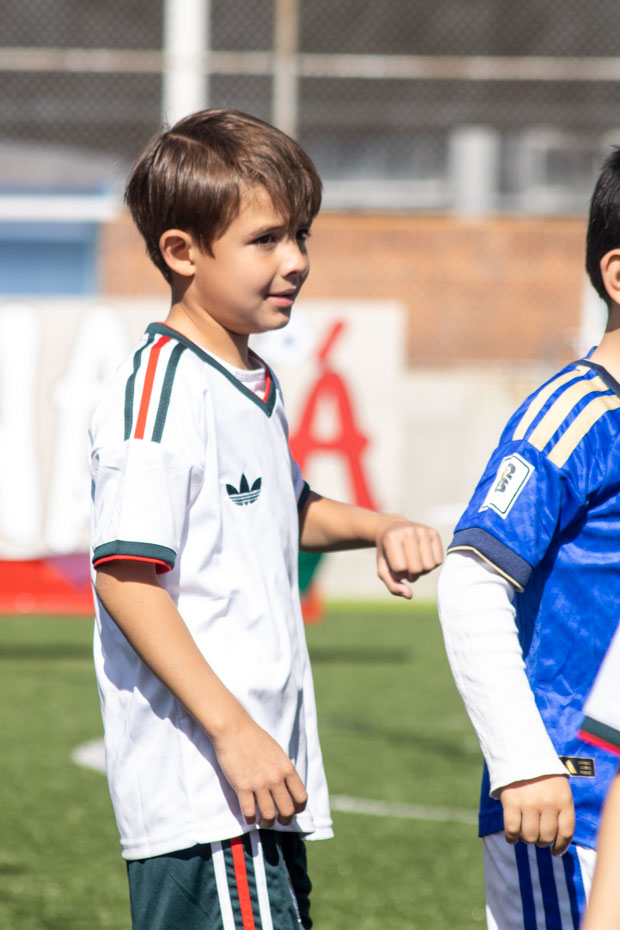 Ir a la Siguiente Foto