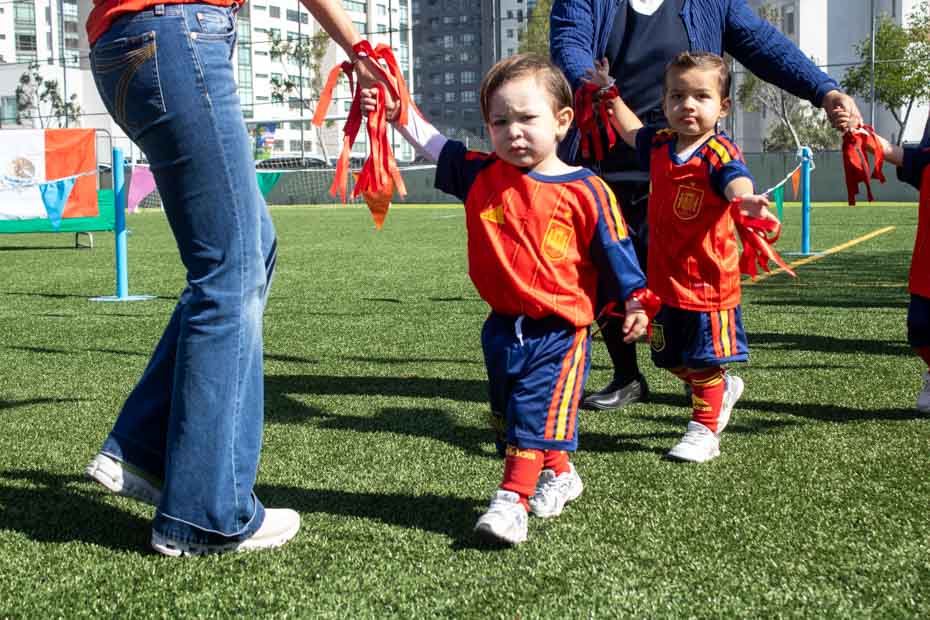 Ir a la Siguiente Foto