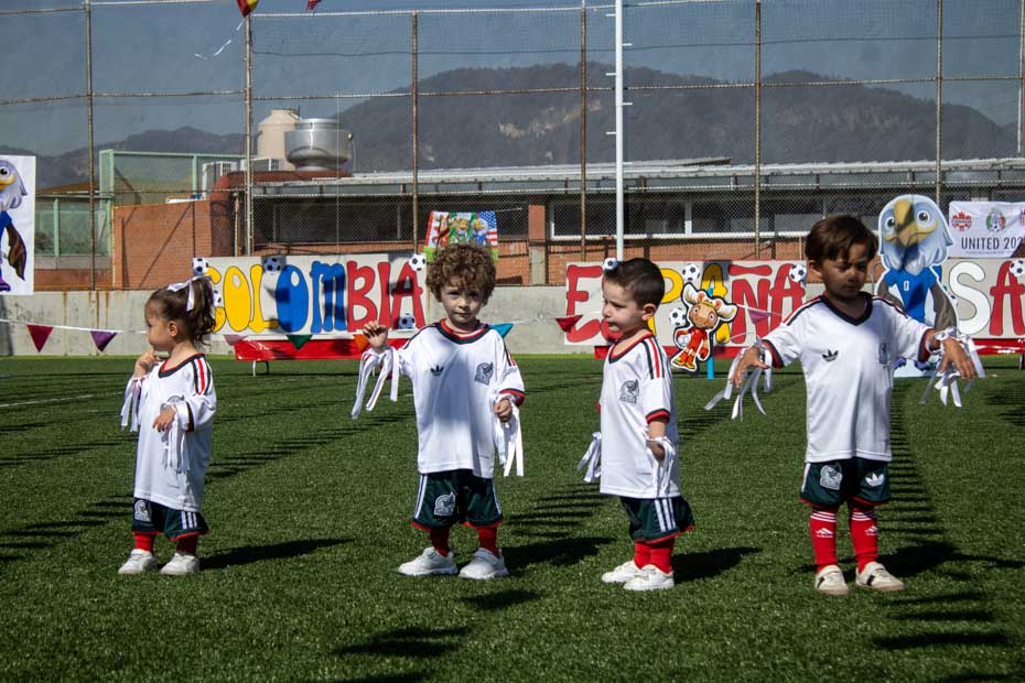 Ir a la Siguiente Foto