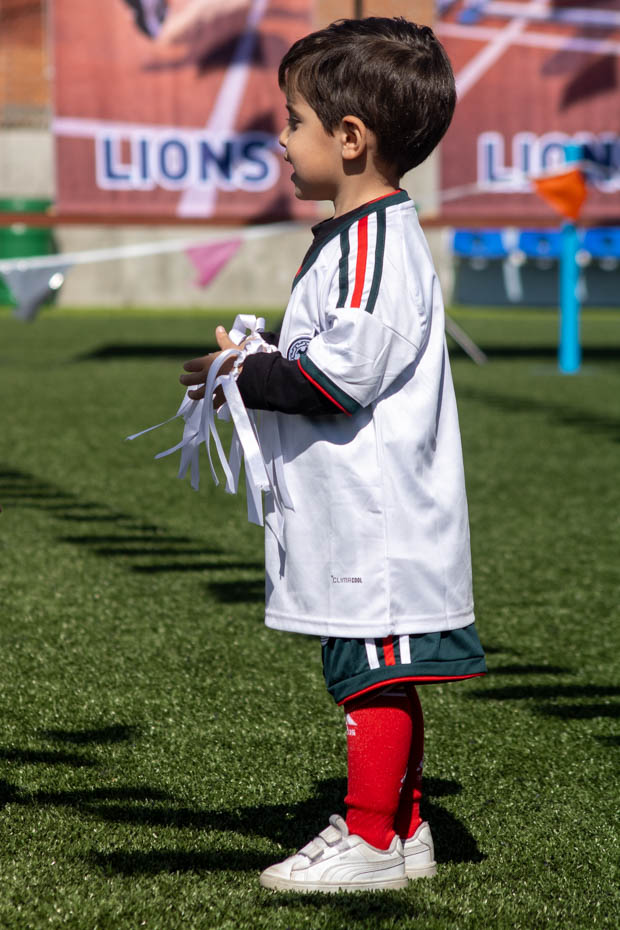 Ir a la Siguiente Foto