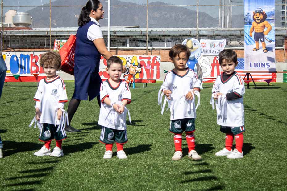 Ir a la Siguiente Foto