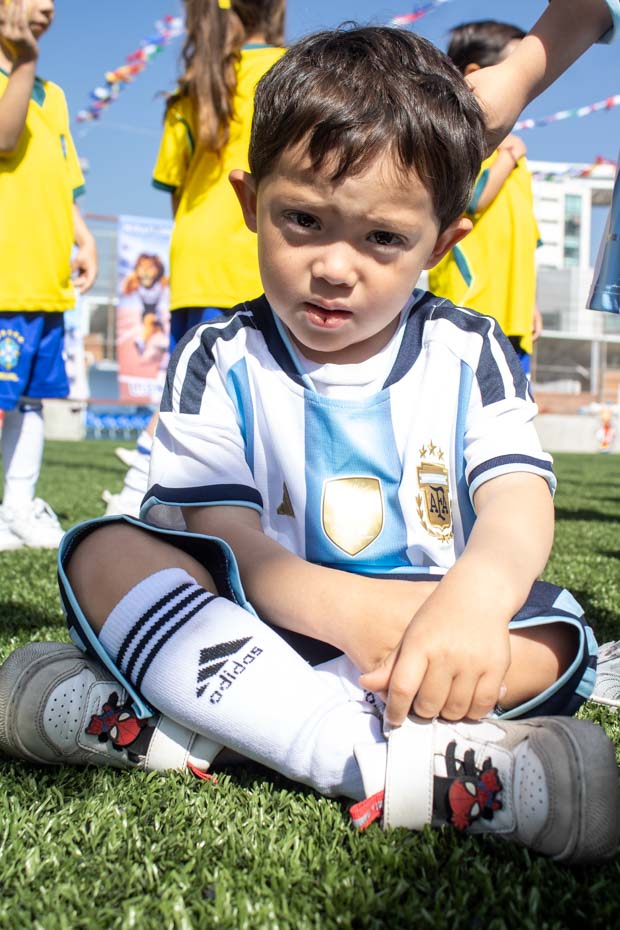 Ir a la Siguiente Foto