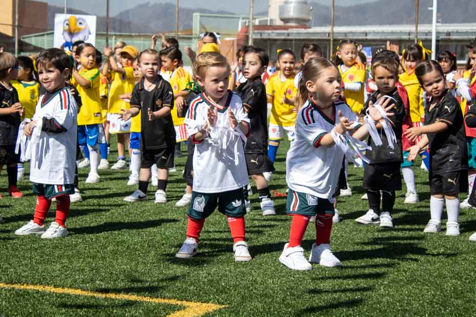 Ir a la Siguiente Foto