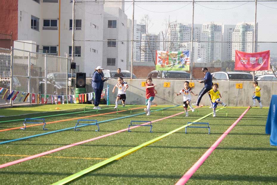 Ir a la Siguiente Foto