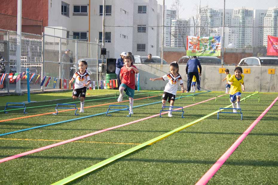 Ir a la Siguiente Foto