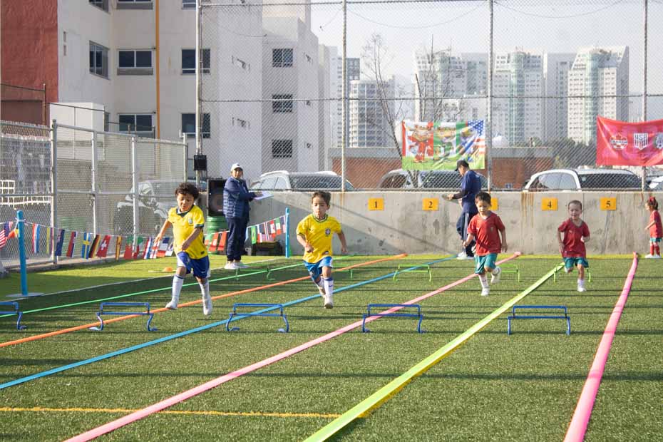 Ir a la Siguiente Foto