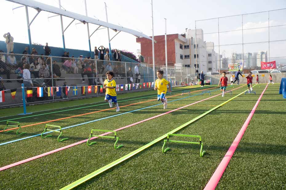 Ir a la Siguiente Foto