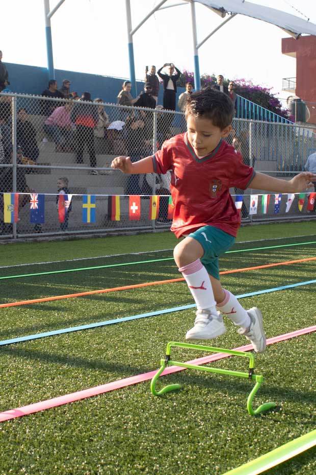 Ir a la Siguiente Foto