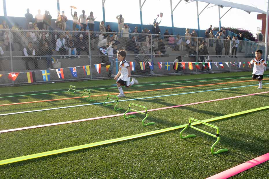 Ir a la Siguiente Foto