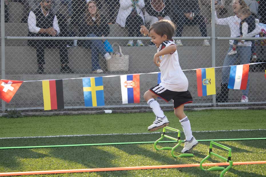 Ir a la Siguiente Foto