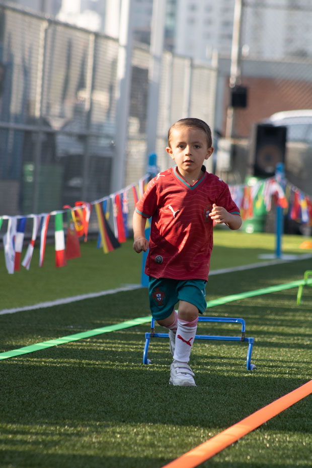 Ir a la Siguiente Foto