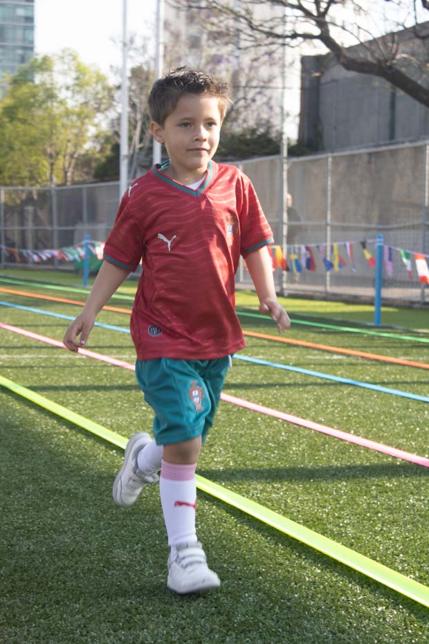 Ir a la Siguiente Foto