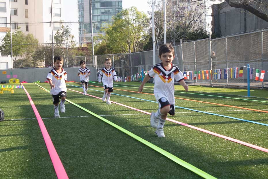 Ir a la Siguiente Foto