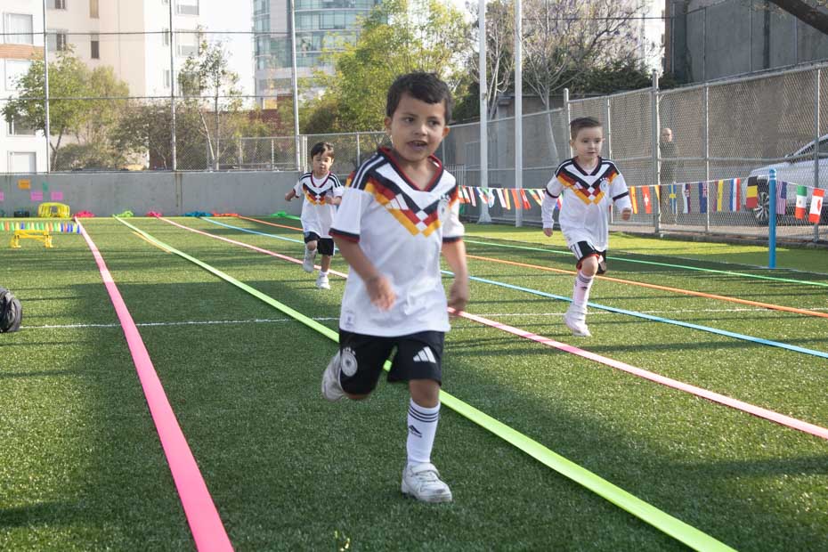 Ir a la Siguiente Foto